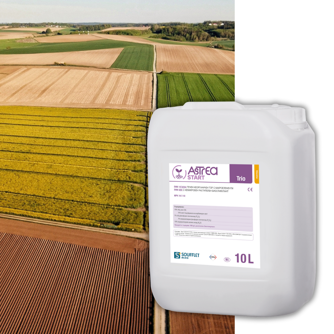 Астреа Старт