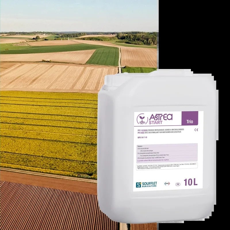 Астреа Старт