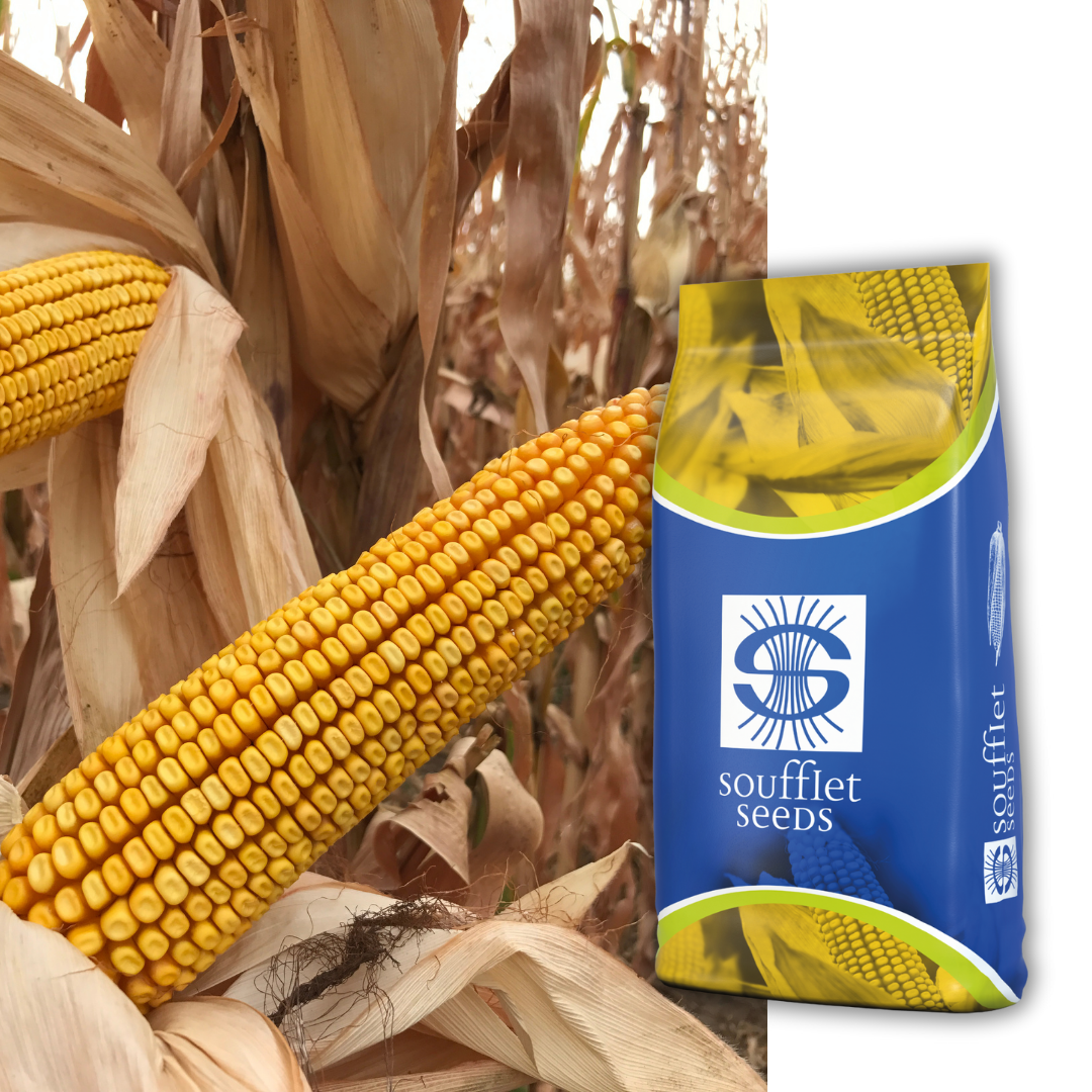 Мопед FAO 350 | семена царевица | Суфле агро България
