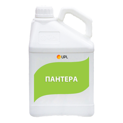 Пантера